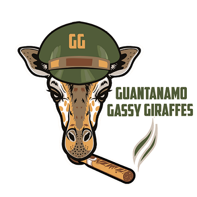 Team Logo